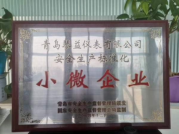 榮譽(yù)資質(zhì)